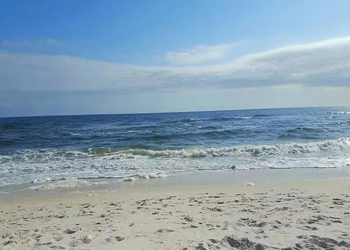 Turners Choice In Perdido Key *